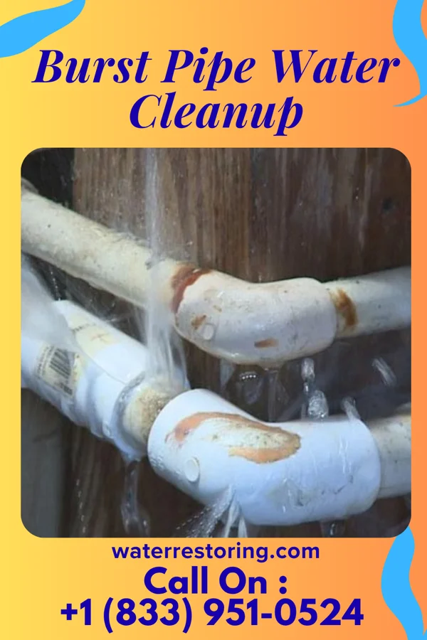Burst Pipe Water Cleanup in Milton, KY